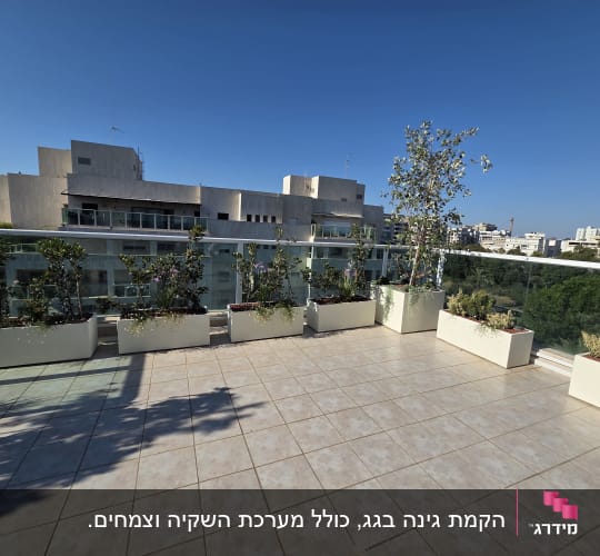 מרפסת עם עציצים ונוף עירוני ברקע